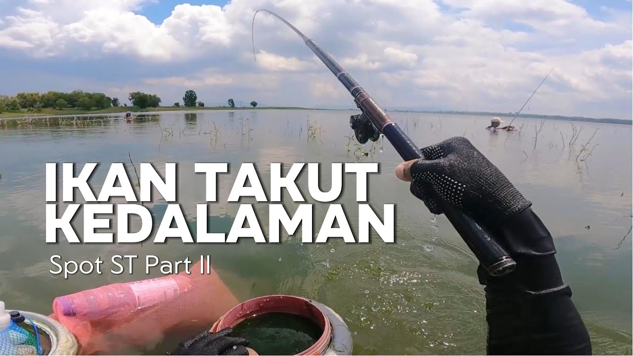 TIDAK PERLU TEMBAK DALAM, DISPOT INI IKANNYA TAKUT KEDALAMAN