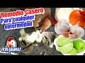 Remedio casero para curar y prevenir ENFERMED4DES en pollitos y gallinas con ajo, cebolla y limón