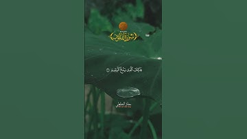 Muadh El Kholti - Surat Al Maun - سورة الماعون |  القارئ معاذ الخلطي | برواية ورش عن نافع