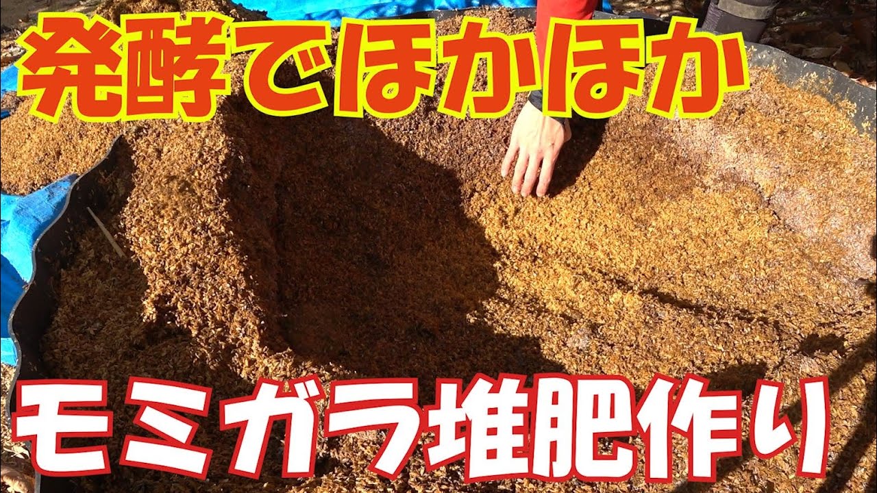 発酵でほかほか　モミガラ堆肥作り