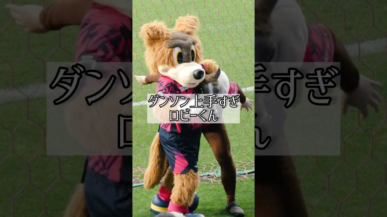 ロビーくんのダンソン!ロビーナちゃんのスーザカーザ! #ダンソン #バンビーノ #セレッソ大阪