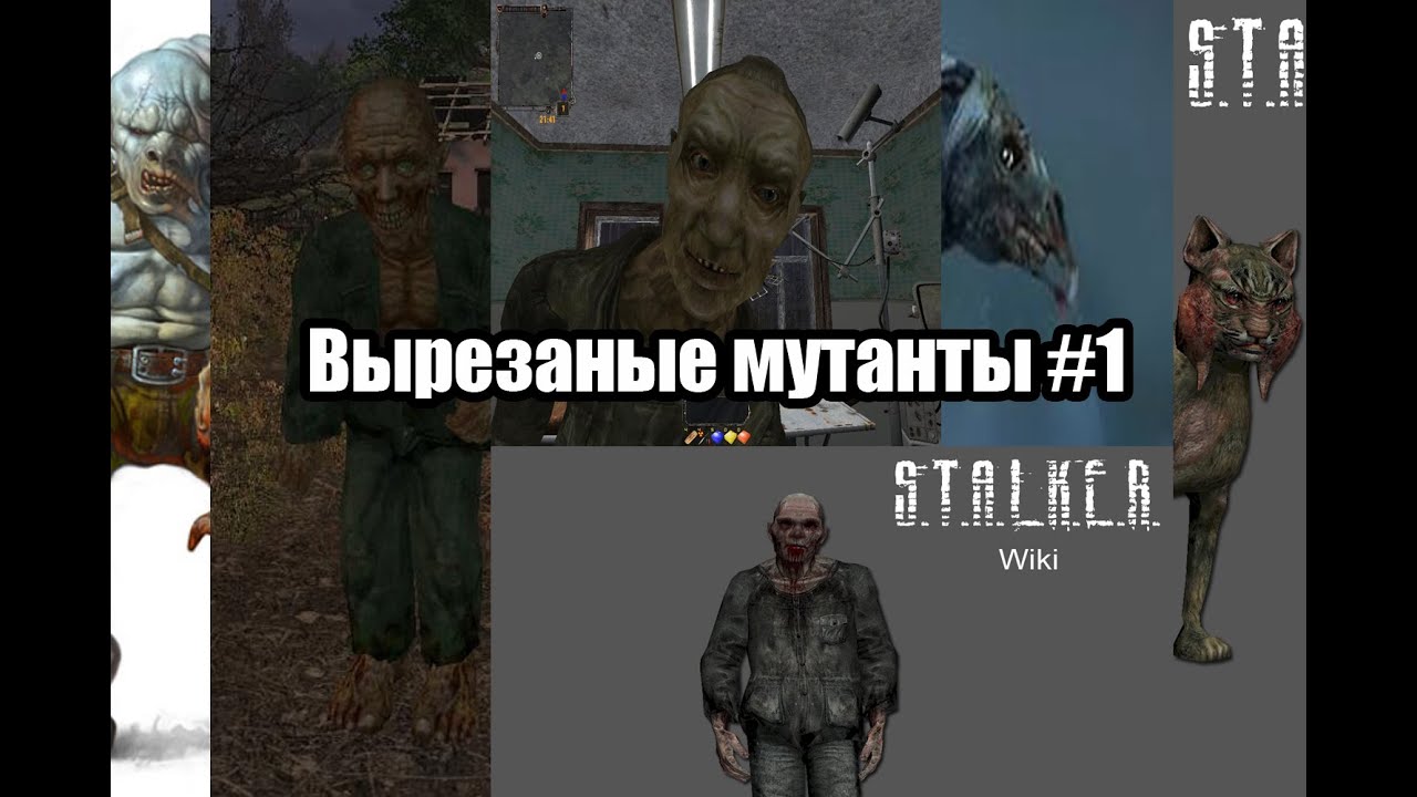 Stalker: Вырезанные мутанты #1 - YouTube