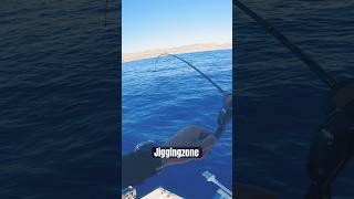 BEAT PROPAGATE KILLS 250GR BEAT DIFFUSER #jigging #spj #mancing #ψάρεμα