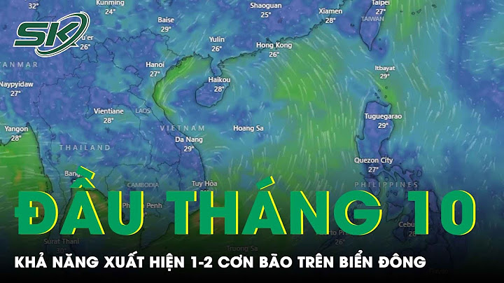 Coơn bão số 9 bắt đầu từ ngày nào