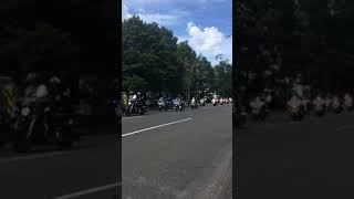 IMG 7966