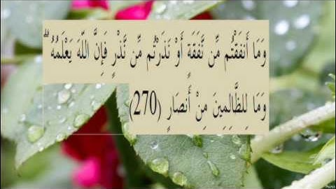 القران الكريم سورة البقرة الاية 270