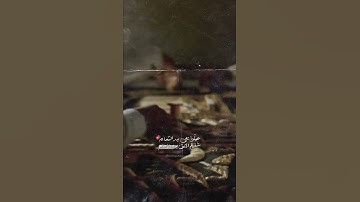 القارئ مشاري البغلي | Qari Mishari Albaghli