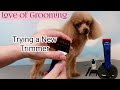 Trying out the Wahl+ BravMini Dog Trimmers | Wahl Mini Bravura Clippers on a Poodle