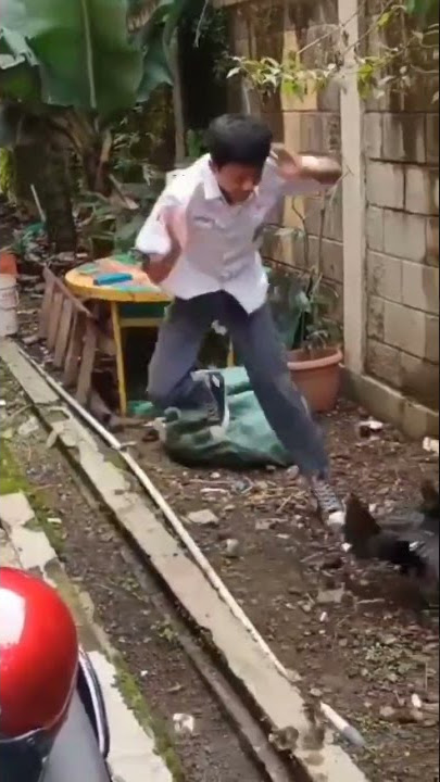 akibat mau ambil anak ayam🥴🤣