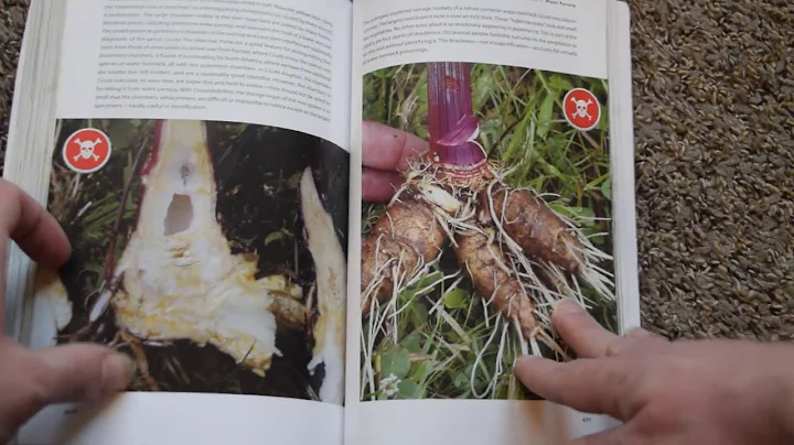 Incredible Wild Edibles By Samuel Thayer - Book Re...