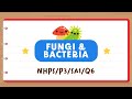 PSLE Science Quiz on Plants, Fungi, and Bacteria