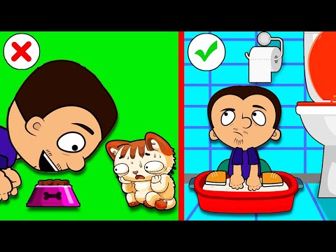 Как найти общий язык со своим котом