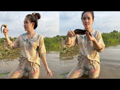 Giangbtvlog/ Bắt Cá Trên Cánh Đồng Ruộng Vừa Mát Vừa Nhắm Được Hoàng Hôn  Luôn #95 - Youtube