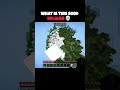what is this seed Mojang 💀