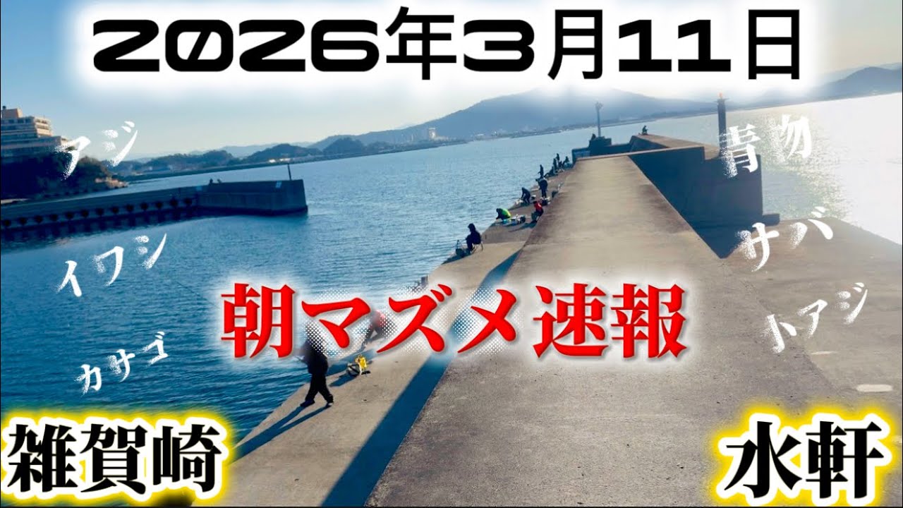 【朝速報】釣るなら今ココ‼️アジサバイワシ青物etc…