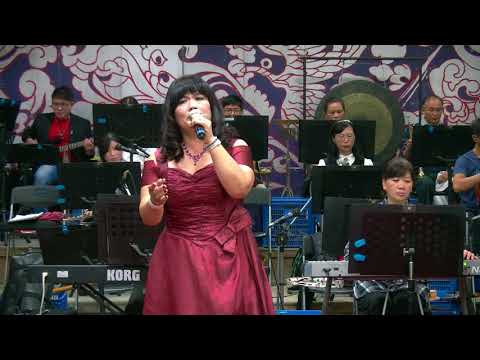 長雲樂集 2017/12/31 王玉玲-原因