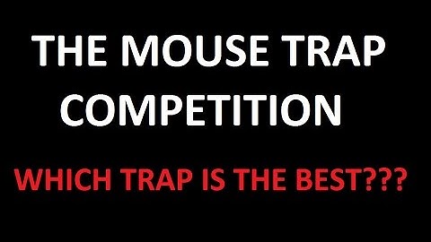 The best mouse trap? Here