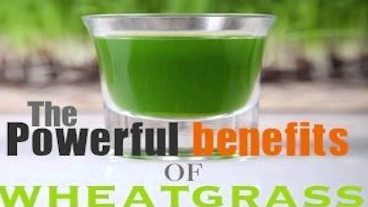 Benefits of Wheatgrass Review YouTube