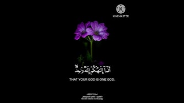 قل لو كان البحر مداد لكمات ربي//القارئ  : ماهر المعيقلي /حالات واتس اب يومالجمعه/بدون حقوق