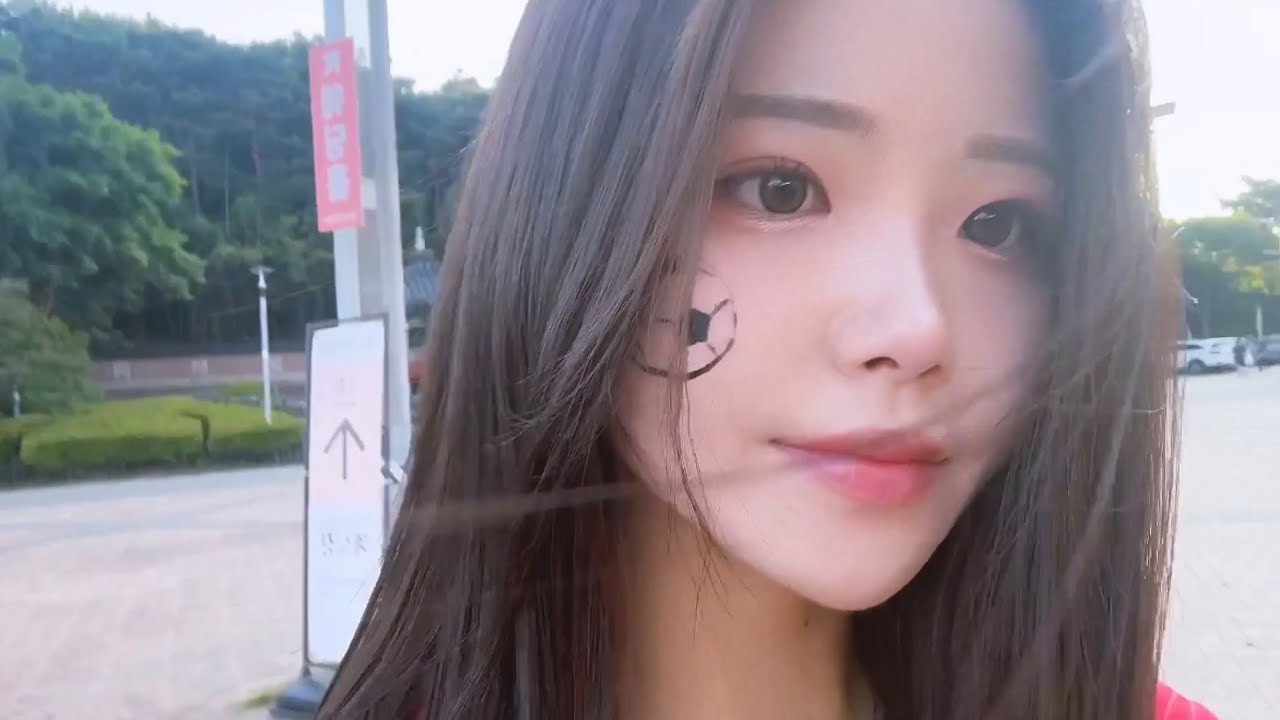 (fc서울 vs 광주fc)