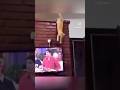 Destructive Cats 😩 | #cats #cat #catlover #catvideos #destruction #funny #funnycats