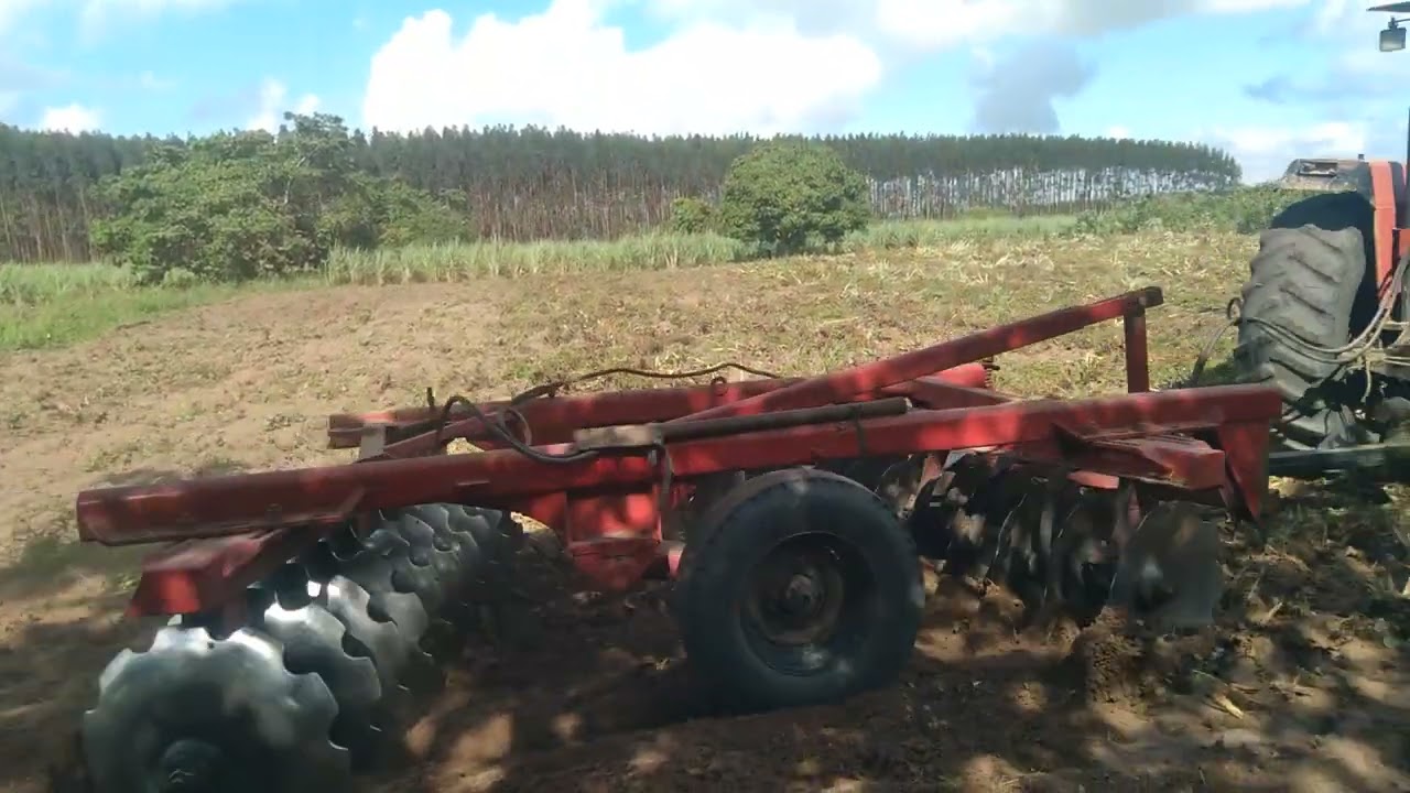 Os Américos - Cantor Luiz de Massangana 