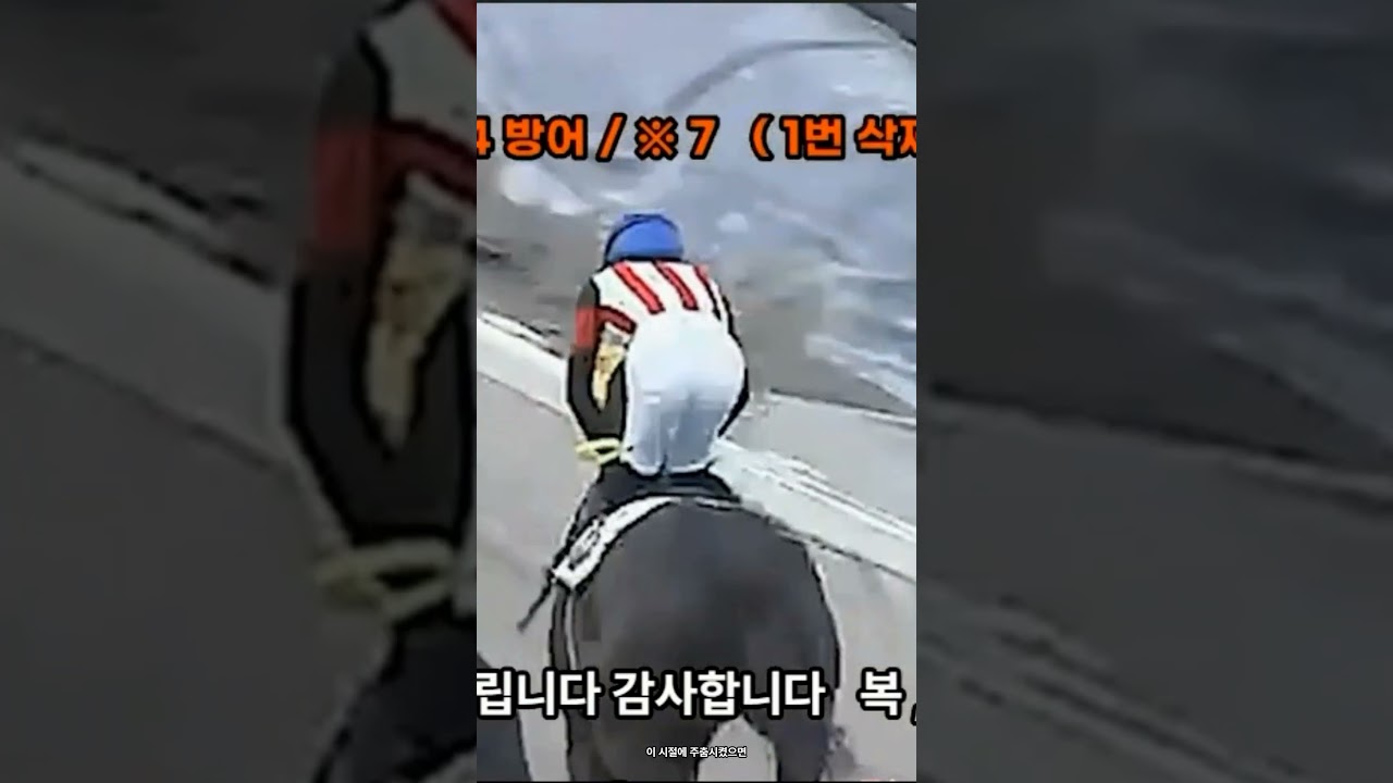 [일본경마] 승부마 적중! 이변을 포착한 고배당 분석 #Shorts