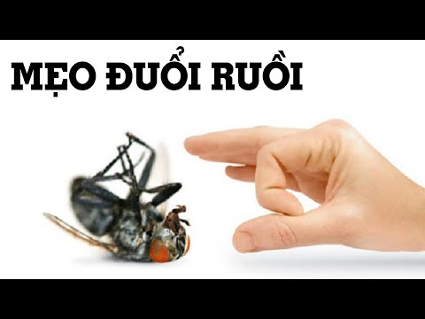 Video: Cách đánh giá bài phát biểu: 15 bước (có hình ảnh)