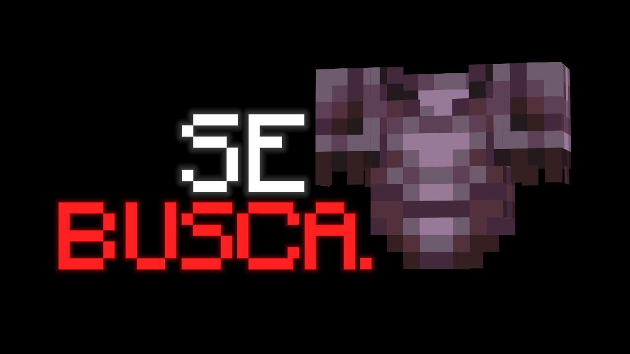 la ARMADURA MAS BUSCADA de MI SERVIDOR