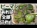 【ピーマンの簡単レシピ】焼いて15分漬けるだけ！箸が止まらん【ピーマン漬け】