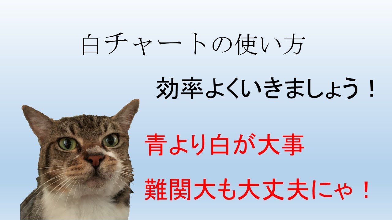 白チャートの使い方（効率よくいきましょう）