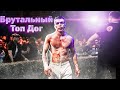 Брутальный Топ Дог и бодипозитив  | Top Dog в сравнении | #topdog