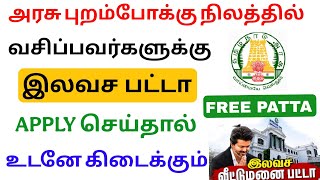 how to apply free patta online tamilnadu | government patta scheme 2026 | Tricky world