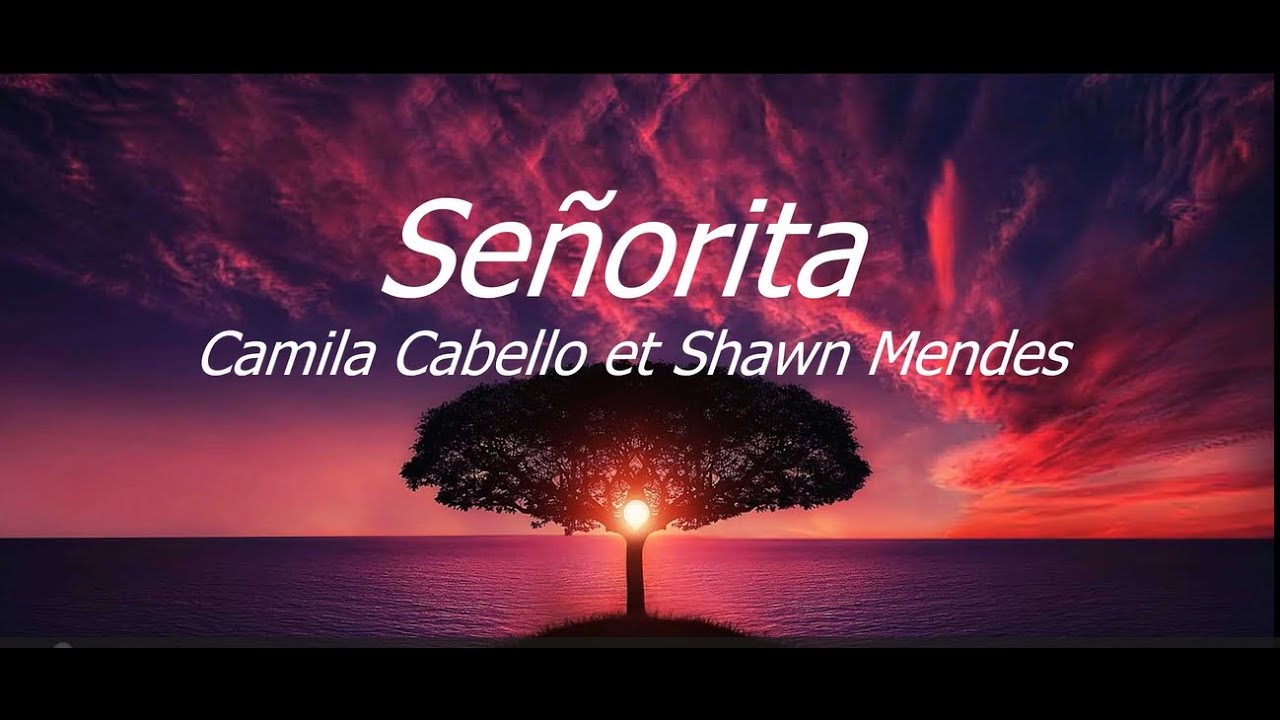Camila Cabello - Shawn Mendes - Senorita (lyrics) - YouTube