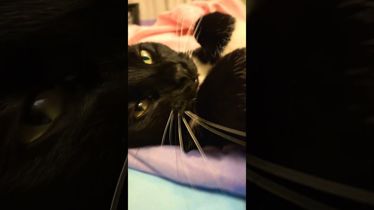 The Squeal Was So Cute