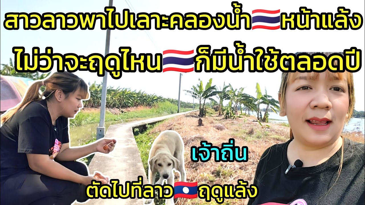PE70🇱🇦สาวลาวไปสำรวจคลอง🇹🇭หน้าแล้งกับหน้าฝนจะแตกต่างกันหรือไม่และไปดูน้องหมาเจ้าถิ่นจะจำเราได้หรือไม่