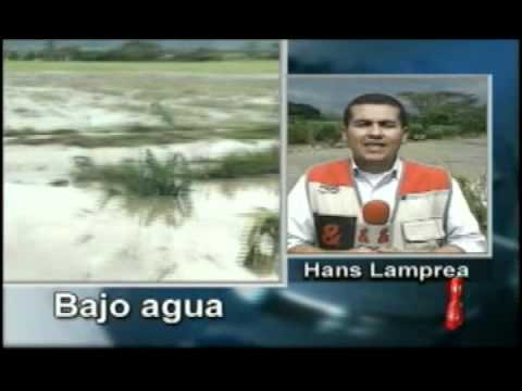 MÃ¡s de 3 mil hectÃ¡reas de cultivos de diferentes productor, estÃ¡n inundados en la zona rural del Norte del Valle del Cauca. La ruptura del dique a la altura del municipio de Roldanillo en el valle del Cauca, ya ha generado perdidas millonarias. Informe del Noticiero CM& por el canal UNO