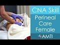 Perineal Care Female - CNA State Board Exam Skill