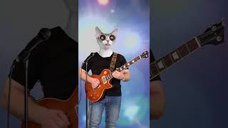 Cat Plays Guitar #shorts