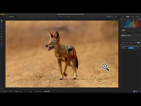 Enhance Any Photo Editing Workflow with Photo RAW MAX