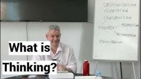 How Thinking Shapes Us: Information Processing Theory (South East European University, SEEU)