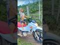 Doggos riding a motorcycle, putting on a hilarious show!🛵🌾 #funnyvideo #doggielife #funny #shorts