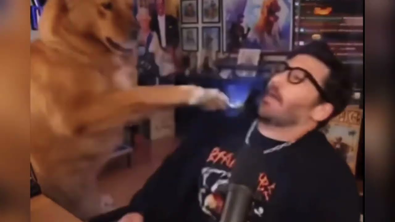 Watch SHOCK MY DOG I CANT STOP CLUB REMIX on YouTube Watch SHOCK MY DOG I CANT STOP CLUB REMIX on YouTube