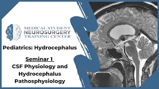 Pediatric Hydrocephalus Seminar 1: Cerebrospinal Fluid Physiology & Hydrocephalus Pathophysiology screenshot 4