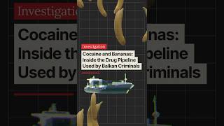Cocaine and Bananas: Inside the Drug Pipeline Used by Balkan Criminals