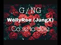 Wellyree  co se to dje ft gng