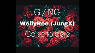 WellyRee - Co se to děje Ft G/NG