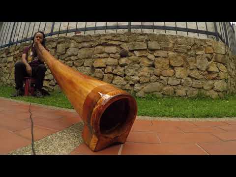 Didjeridoo travel en