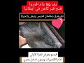 بعد ٥٦ عاما قرروا فتح قبر كاهن قديس في ايطاليا دم وعرق وجثمان قديس ينبض بالحياة القديس بيو