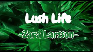 Lush life- Zara Larsson